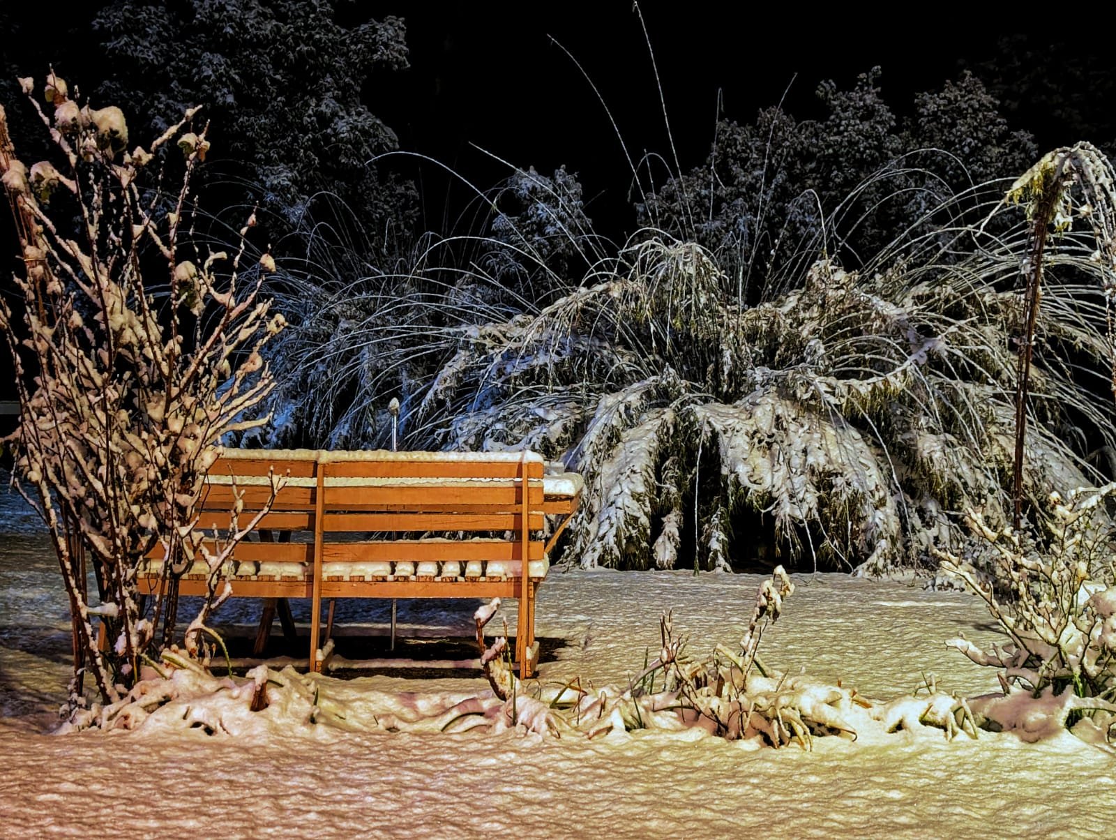 Snowfall photo