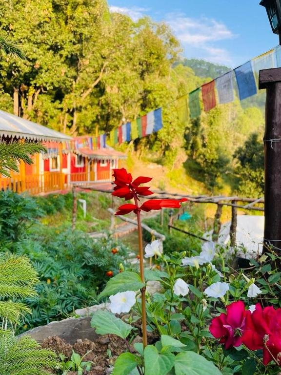 Myrica Cottages  Kainchi Dham, Nainital photo
