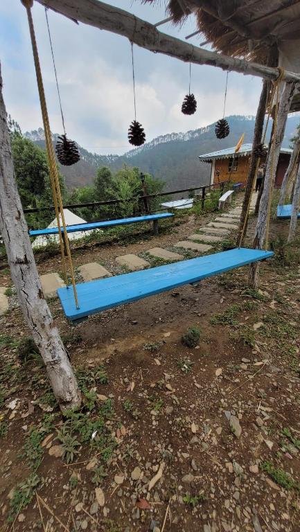 Myrica Cottages  Kainchi Dham, Nainital photo