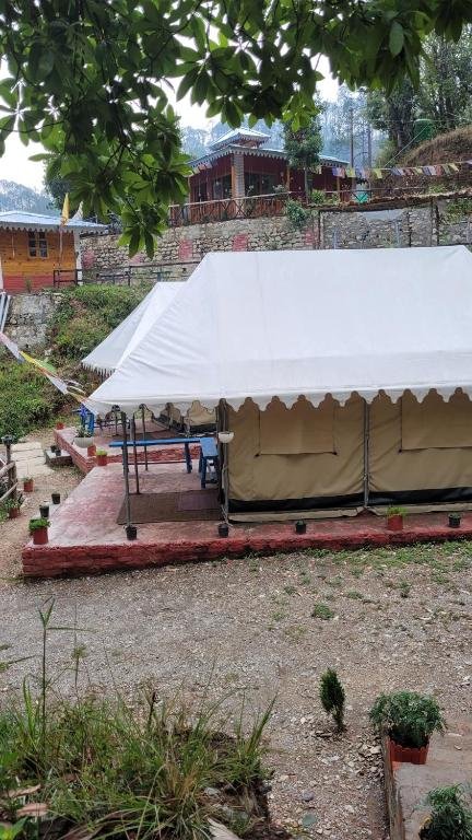 Myrica Cottages  Kainchi Dham, Nainital photo