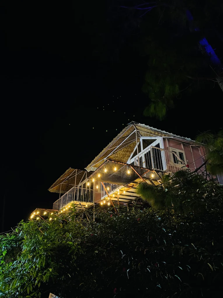 The paradise pool resort photo