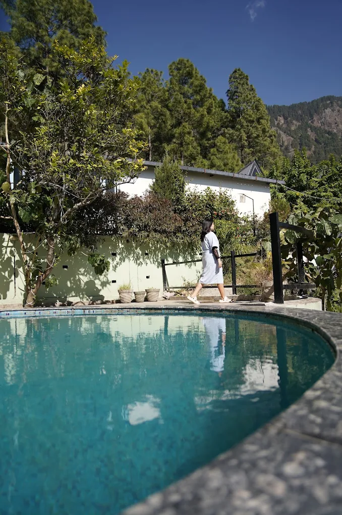 The paradise pool resort photo