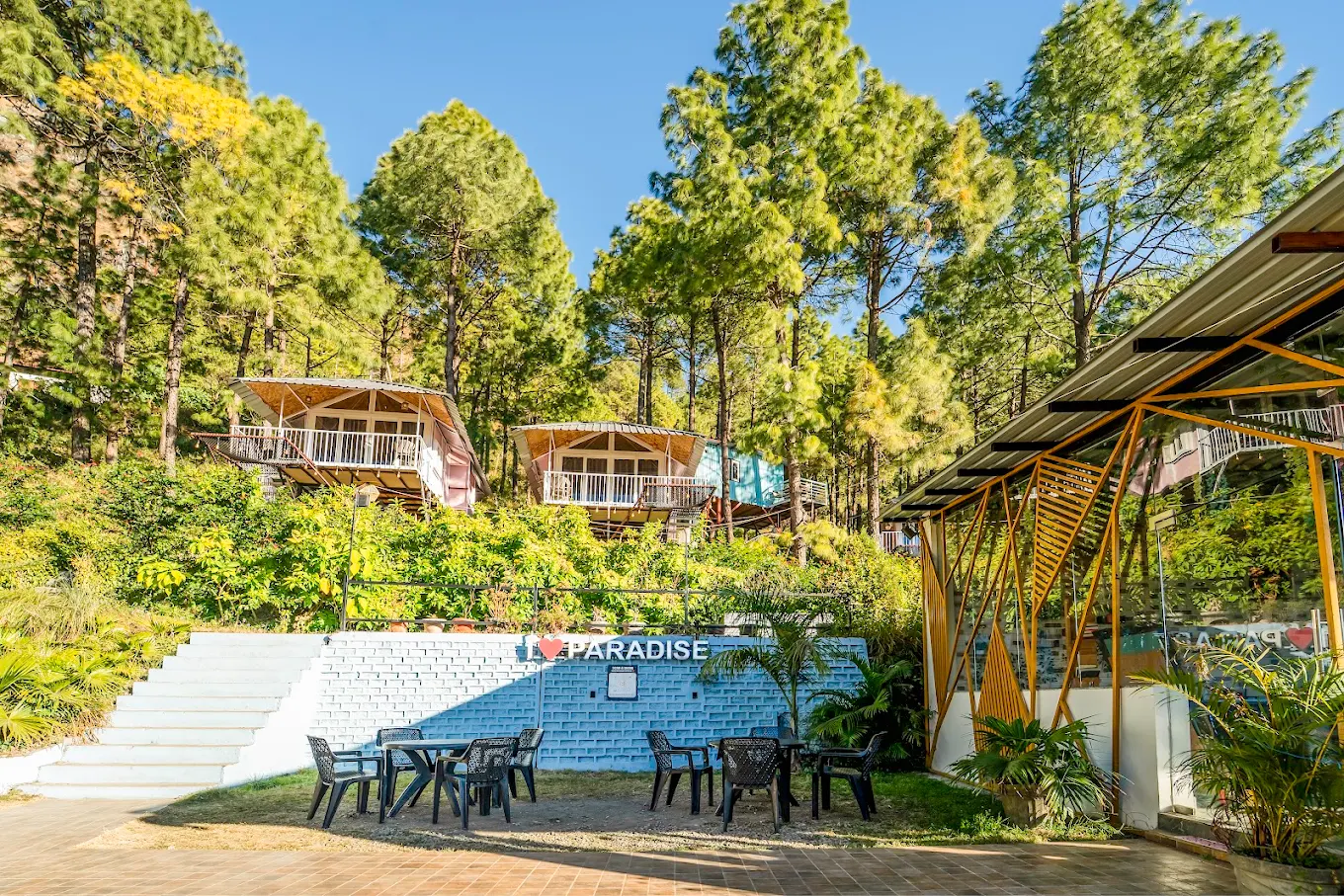 The paradise pool resort photo