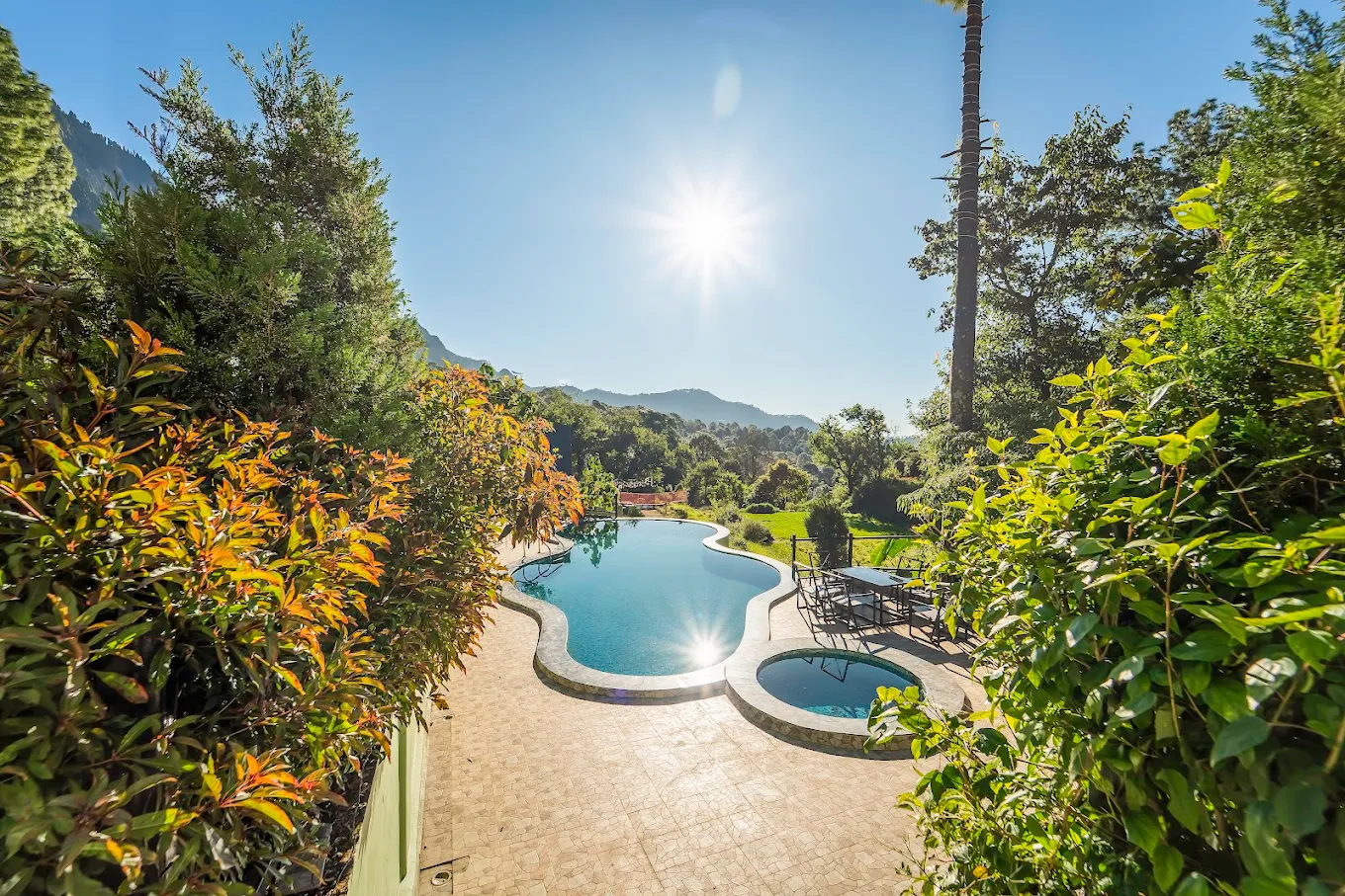 The paradise pool resort photo
