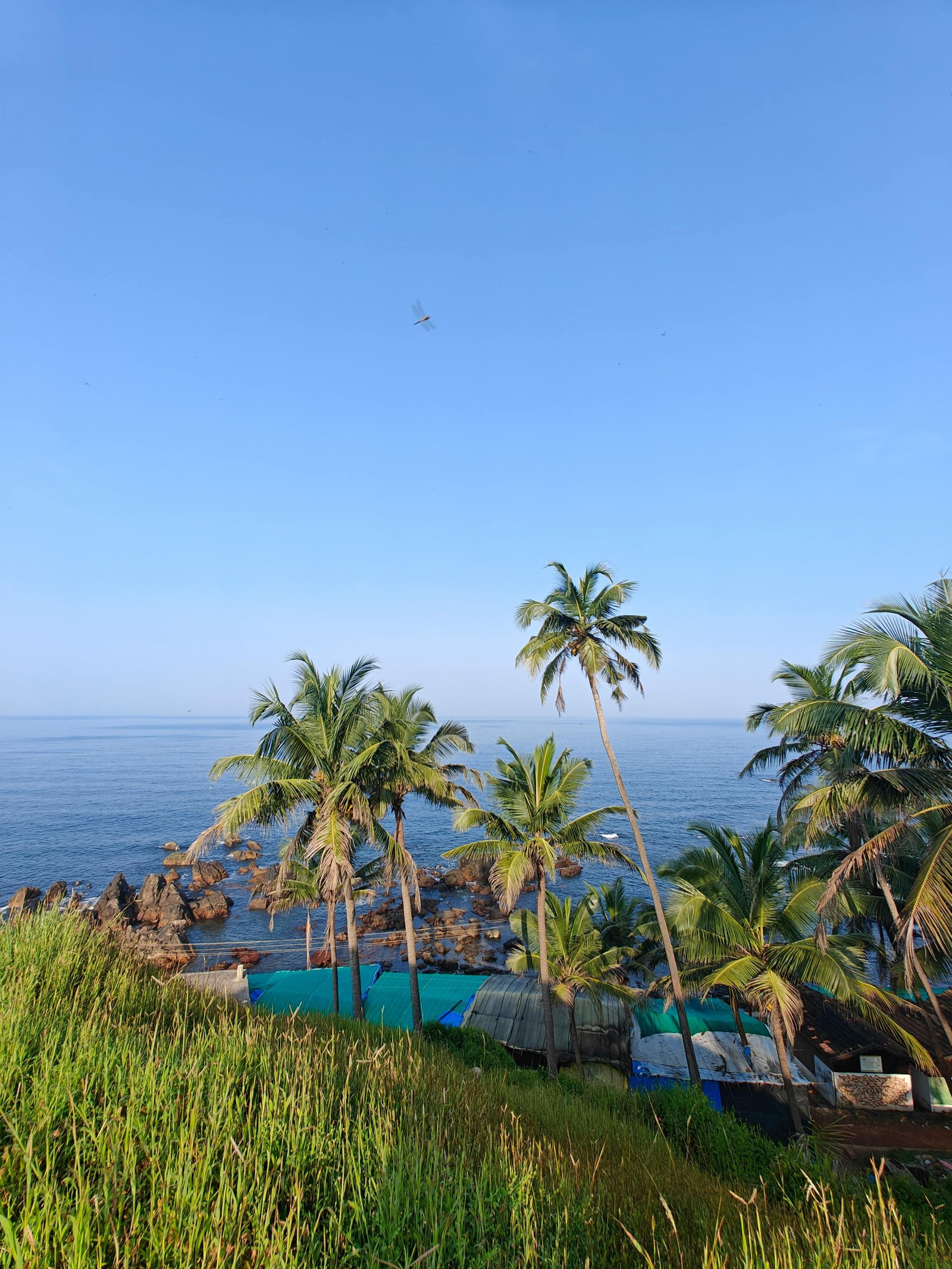 Goa
